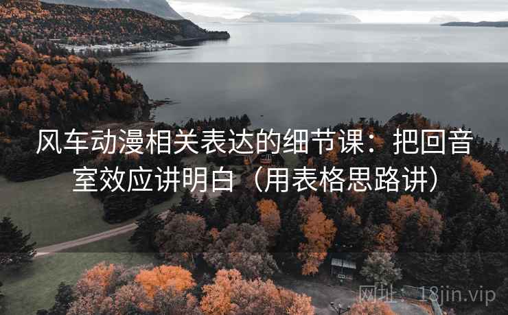 风车动漫相关表达的细节课：把回音室效应讲明白（用表格思路讲）