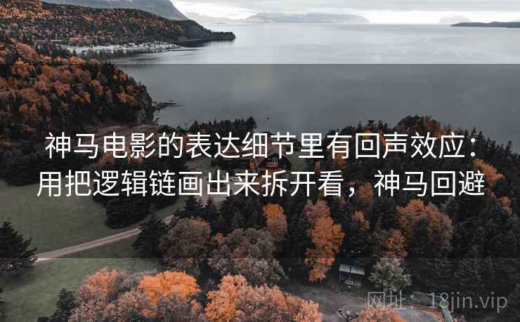 神马电影的表达细节里有回声效应：用把逻辑链画出来拆开看，神马回避